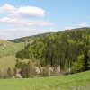 Jaro (7)